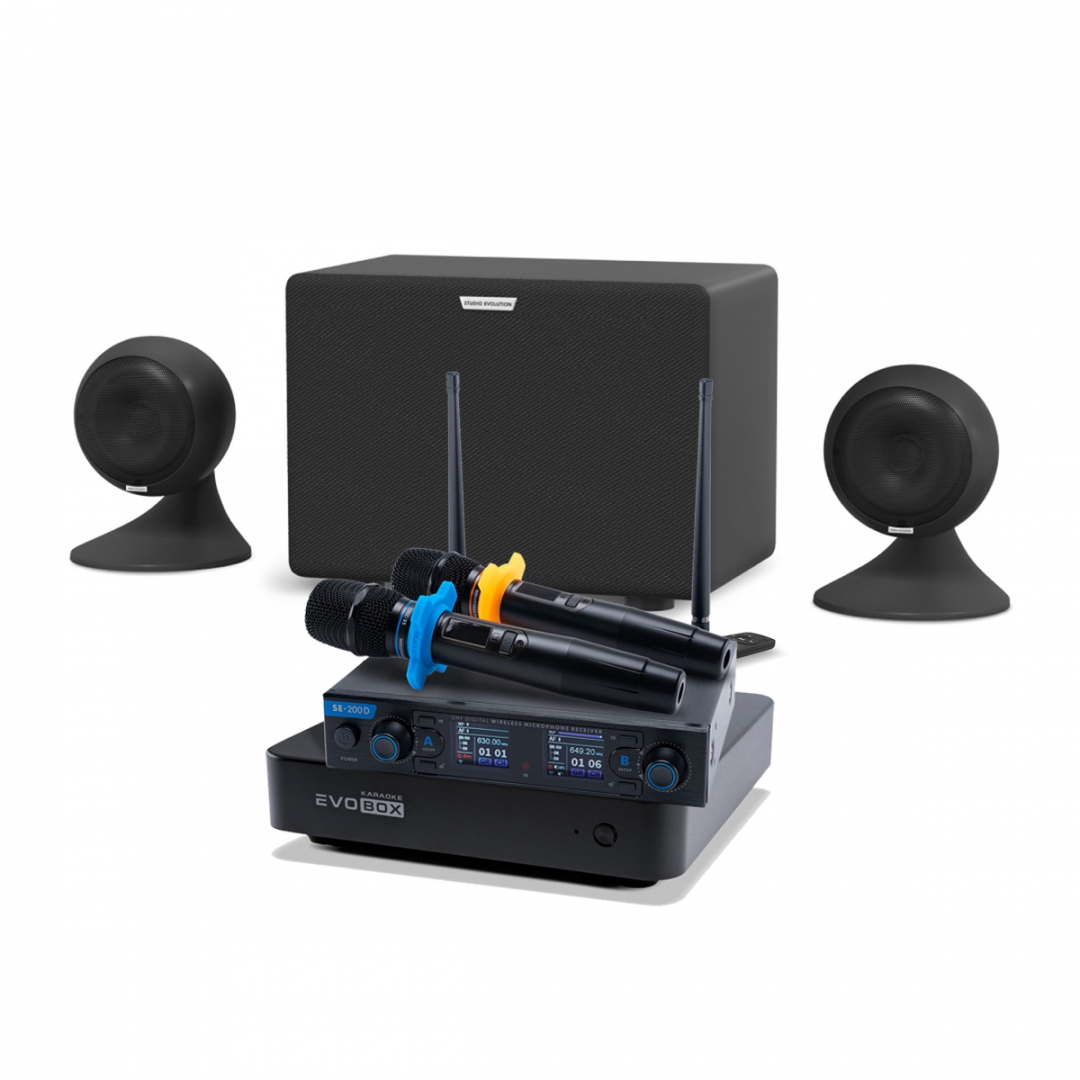 караоке-комплект EVOBOX + EvoSound Sphere 2.1 в Кирове