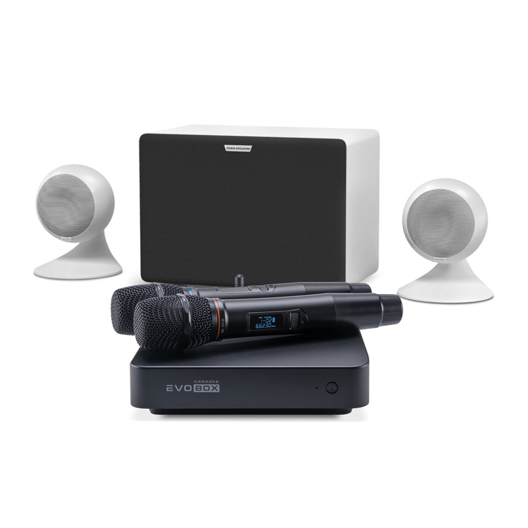 караоке-комплект EVOBOX Classic + EvoSound Sphere 2.1 в Кирове