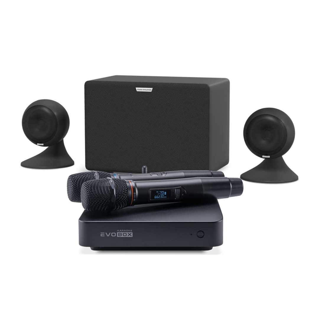 караоке-комплект EVOBOX Plus + EvoSound Sphere 2.1 в Кирове