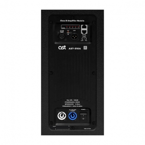 Активная акустическая система AST-310A в Кирове