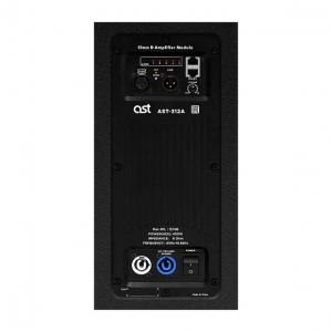 Активная акустическая система AST-312A в Кирове