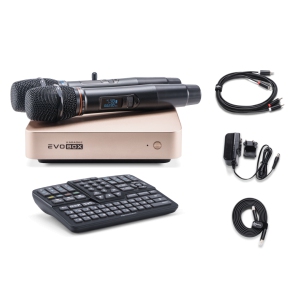 EVOBOX Classic караоке-система для дома в Кирове