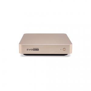 EVOBOX с микрофонами в Кирове